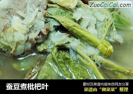 蚕豆煮枇杷叶