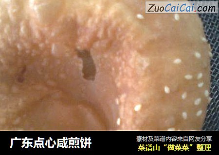 广东点心咸煎饼
