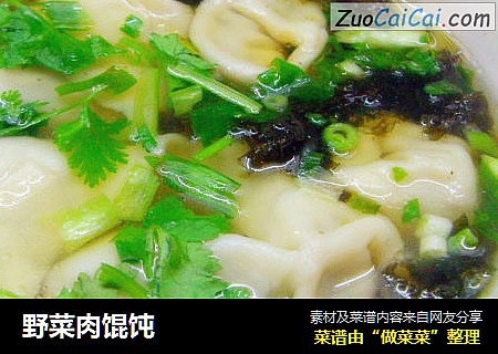 野菜肉馄饨