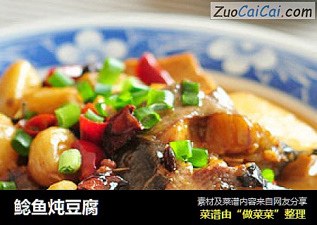 鲶鱼炖豆腐