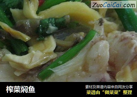 榨菜焖鱼