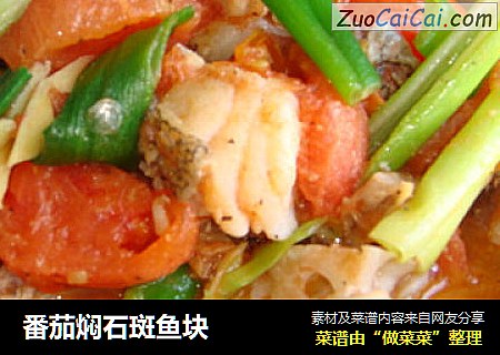 番茄焖石斑鱼块