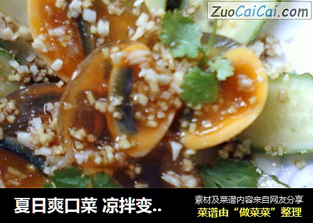 夏日爽口菜 凉拌变蛋黄瓜