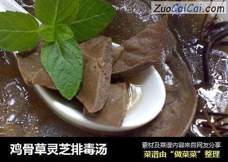 鸡骨草灵芝排毒汤
