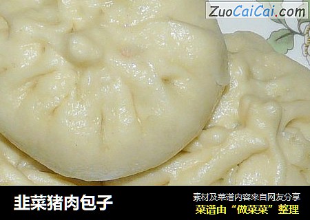 韭菜猪肉包子