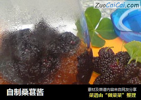自制桑葚酱
