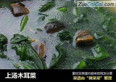 上汤木耳菜