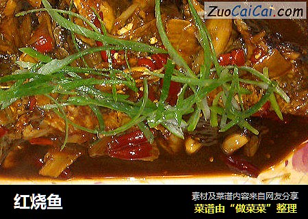 红烧鱼