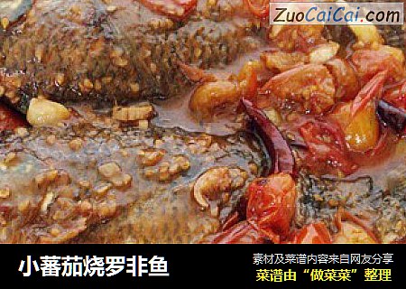 小蕃茄烧罗非鱼