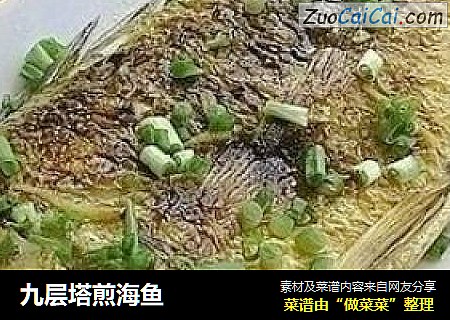 九层塔煎海鱼