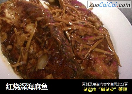 红烧深海麻鱼