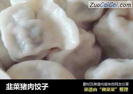 韭菜猪肉饺子