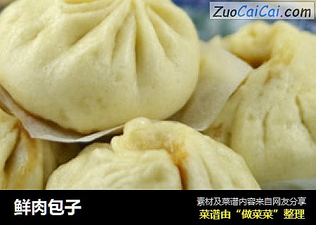 鲜肉包子