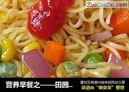 营养早餐之——田园素什锦炒面
