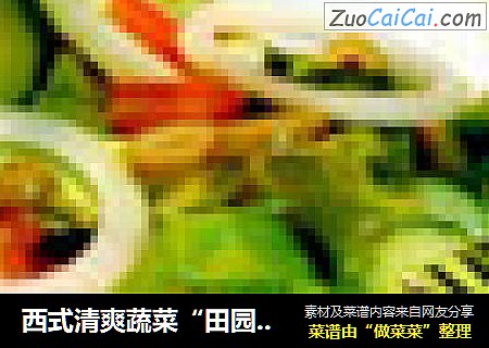 西式清爽蔬菜“田园沙拉”