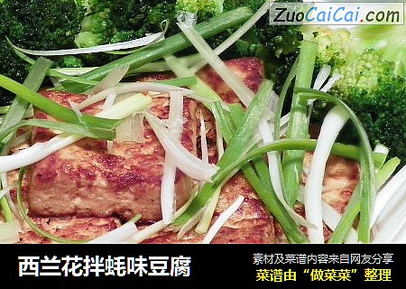西兰花拌蚝味豆腐