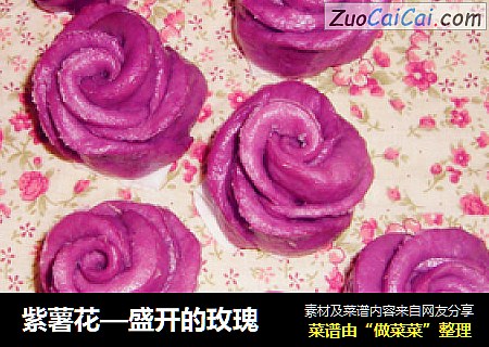 紫薯花—盛开的玫瑰