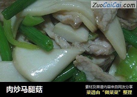 肉炒马腿菇