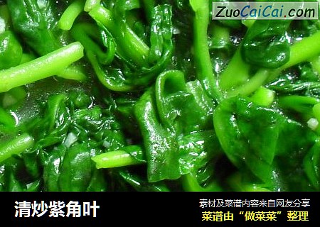 清炒紫角叶