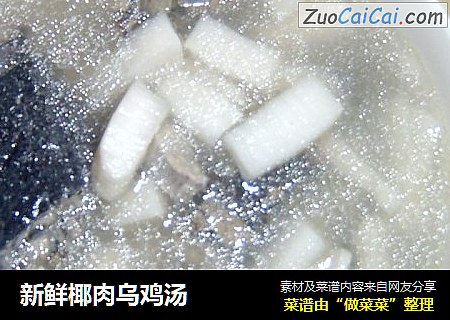 新鲜椰肉乌鸡汤