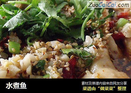 水煮鱼