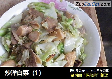 炒洋白菜
