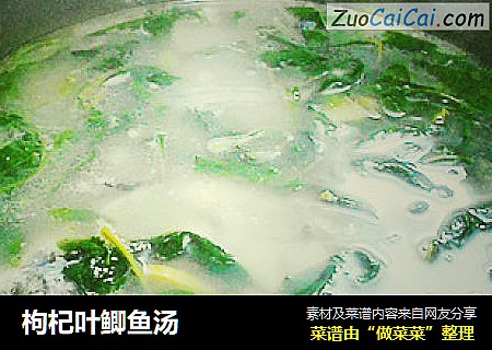 枸杞叶鲫鱼汤