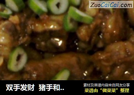 双手发财猪手和鸡手手牵手