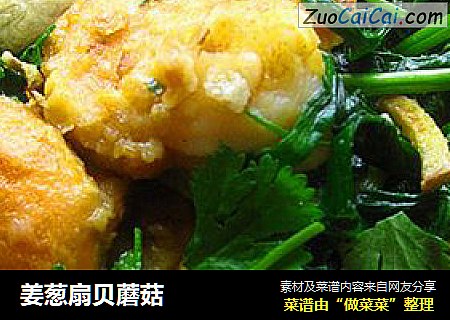 姜葱扇贝蘑菇