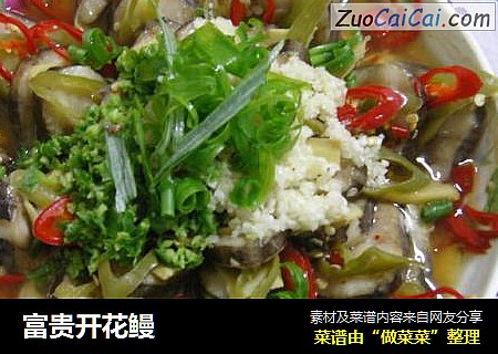 富贵开花鳗