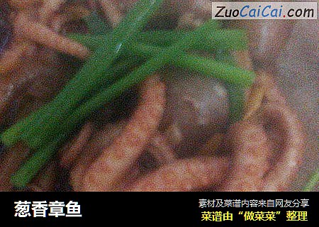 葱香章鱼