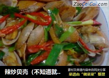 辣炒贝壳