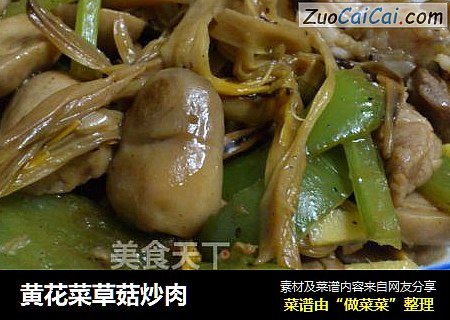 黄花菜草菇炒肉