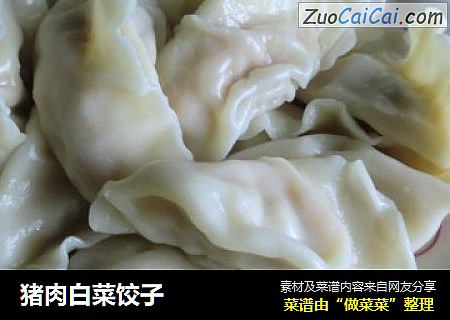猪肉白菜饺子