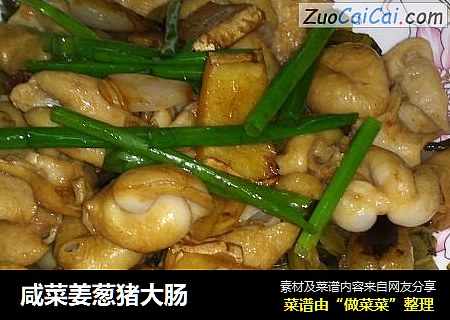 咸菜姜葱猪大肠