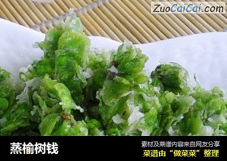 蒸榆树钱