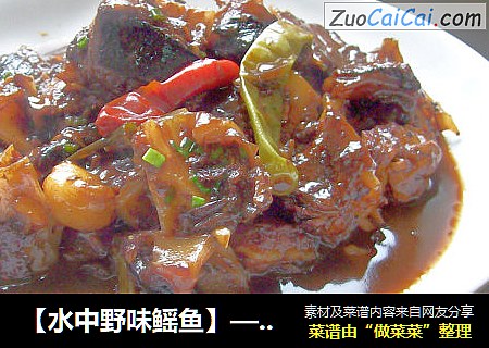 【水中野味鳐鱼】——葱蒜鲜辣鳐鱼煲