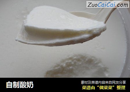 自制酸奶
