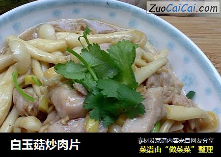 白玉菇炒肉片