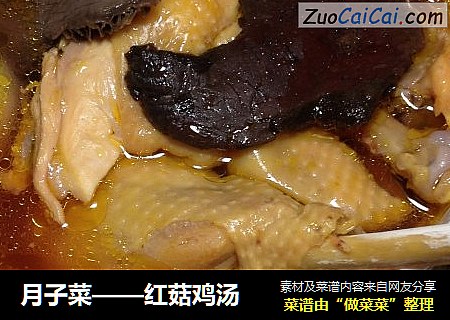 月子菜——红菇鸡汤