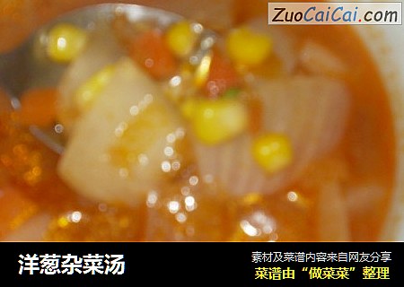 洋葱杂菜汤