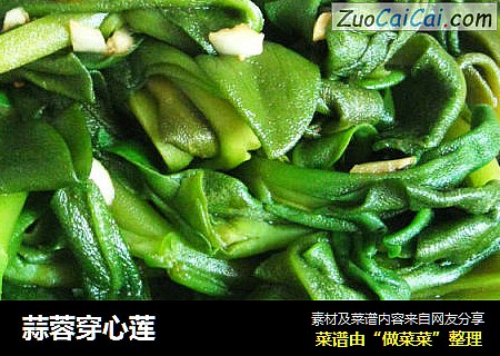 蒜蓉穿心莲