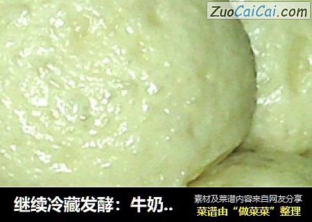 继续冷藏发酵：牛奶馒头