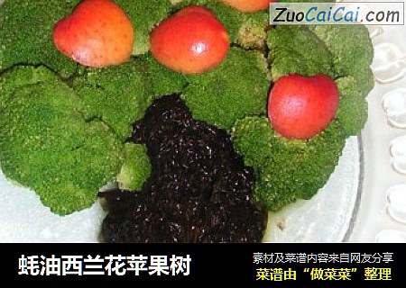 蚝油西兰花苹果树