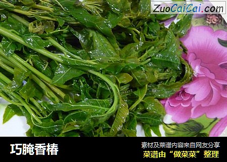 巧腌香椿