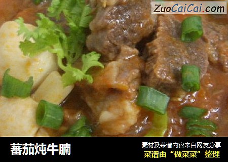 蕃茄炖牛腩