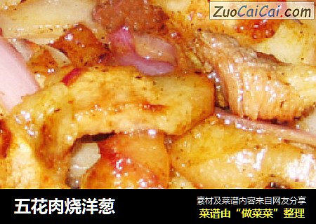 五花肉烧洋葱