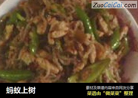 蚂蚁上树
