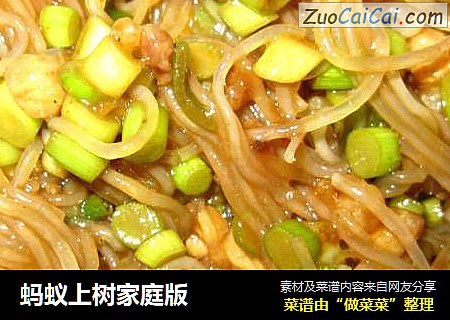 蚂蚁上树家庭版