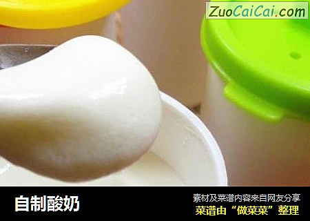 自制酸奶